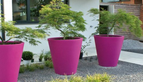 New Pot Family