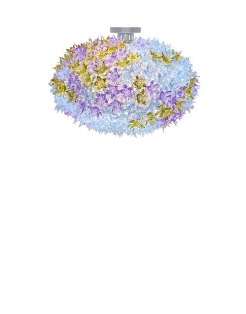 Bloom 2011