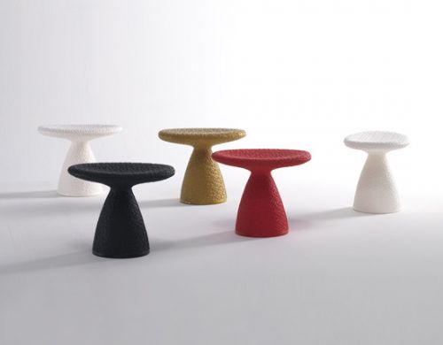 Shitake
