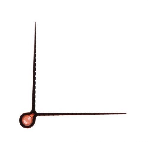Kite