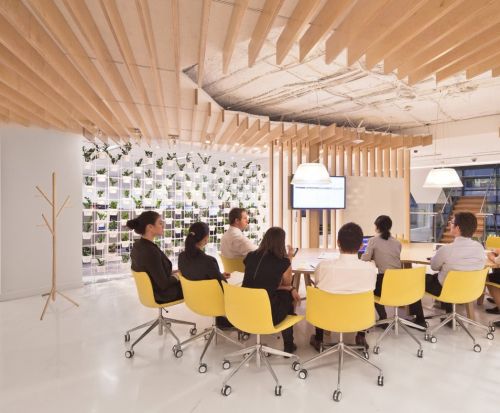 Catifa 46 - Office