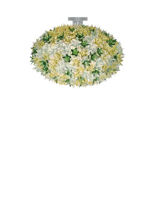Bloom 2011